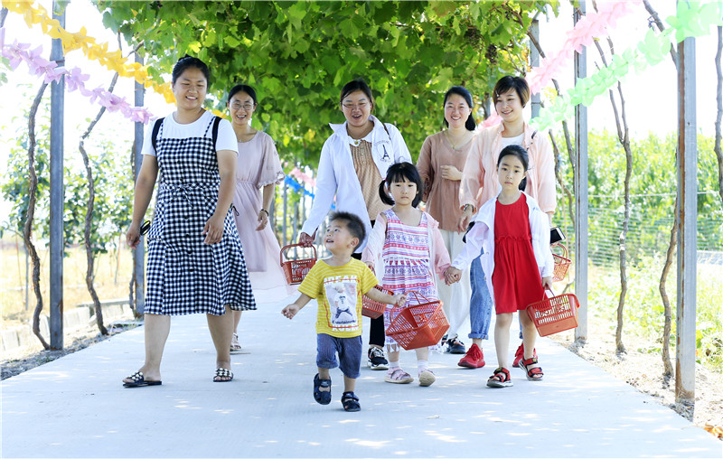 1536199027450155.jpg 张锦国-邻里结伴去采摘(2018年7月20日摄于练市 13905721006).jpg
