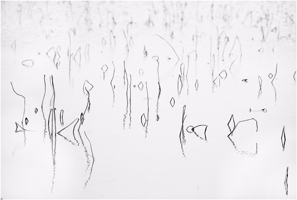 1577016839121543.jpg
