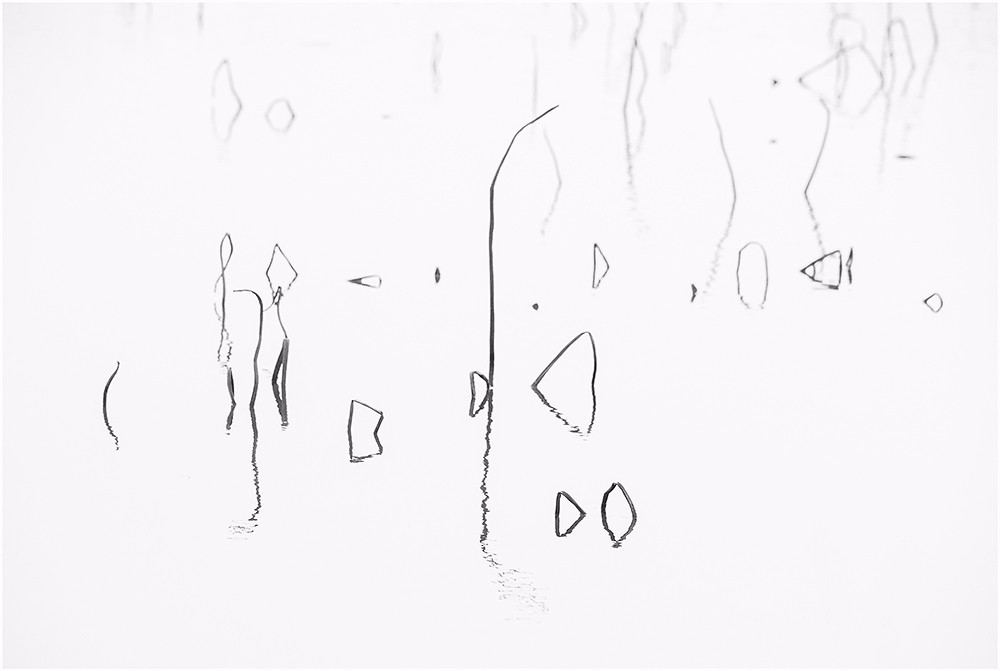 1577016839905087.jpg